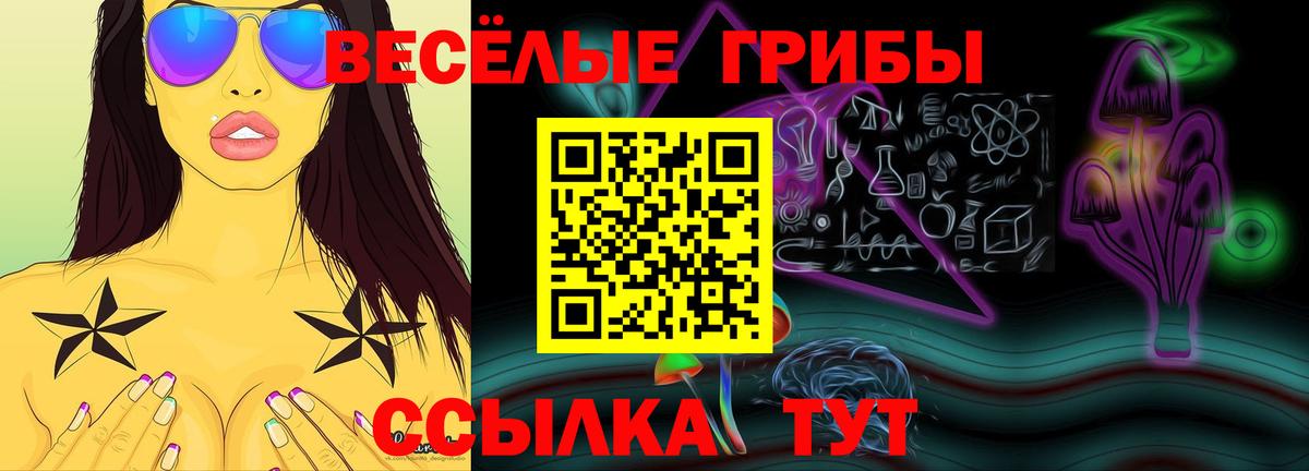 Галлюциногенные грибы Psilocybe  Вход с VPN  купить  сайты  Псилоцибиновые грибы Magic Shrooms  Красноярск 