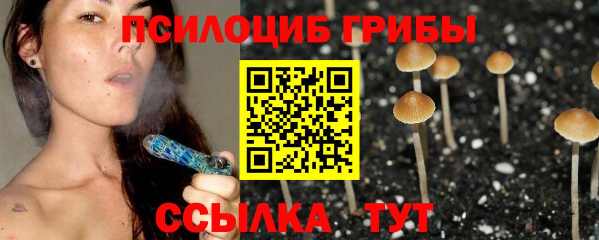Псилоцибиновые грибы ЛСД Красноярск